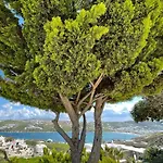 Yalos Mykonos Ornos Pouli Private W Shared Swimming Pool Apartman