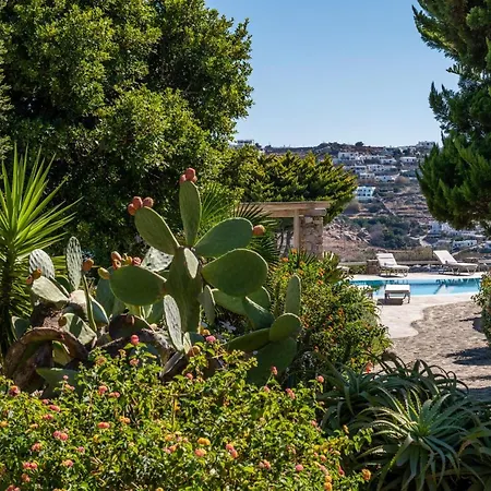 Yalos Mykonos Ornos Pouli Private W Shared Swimming Pool Mykonos Town