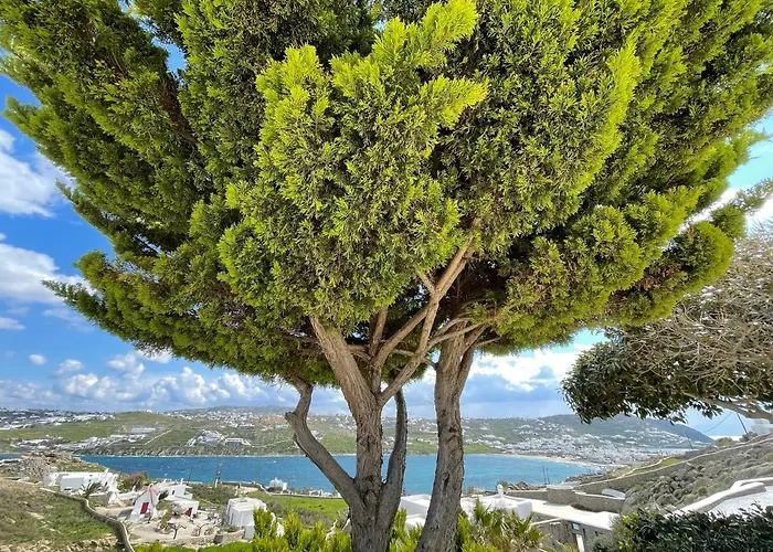 Yalos Mykonos Ornos Pouli Private W Shared Swimming Pool Appartement