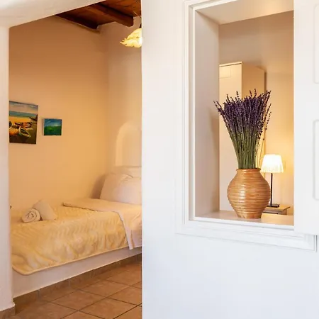 Yalos Mykonos Ornos Pouli Private W Shared Swimming Pool アパート