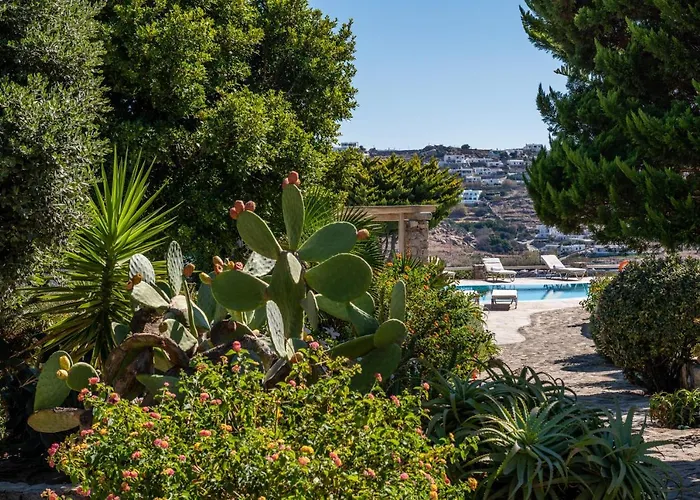 Yalos Mykonos Ornos Pouli Private W Shared Swimming Pool Mykonos Town